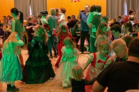 /album/kindermaskenball-2019/a03-03-2019-108-jpg/